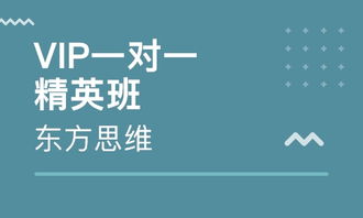 沈阳云集企业财务管理培训辅导班全面解析 排名与价值